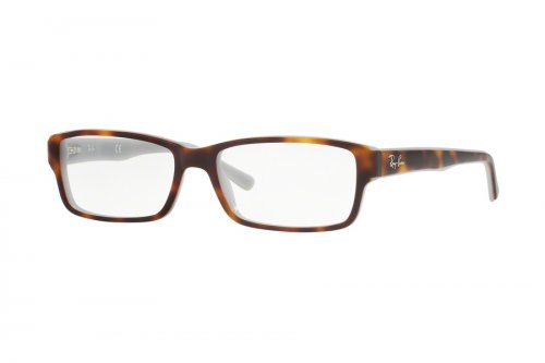  () Ray-Ban Highstreet RB5169-5238