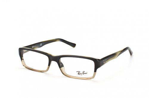 Eyewear (frame) Ray-Ban Highstreet RB5169-5540