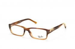 Eyewear (frame) Ray-Ban RB5169-5542