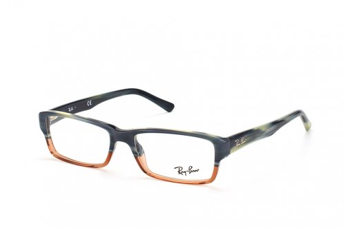  () Ray-Ban Highstreet RB5169-5543