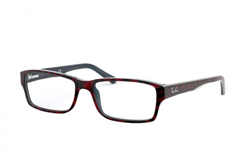 Eyewear (frame) Ray-Ban  RB5169-5973