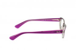 Eyewear (frame) Ray-Ban RB5242-5254
