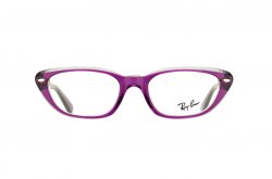 Eyewear (frame) Ray-Ban RB5242-5254