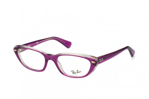 Eyewear (frame) Ray-Ban Highstreet RB5242-5254