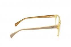 Eyewear (frame) Ray-Ban RB5298-5233