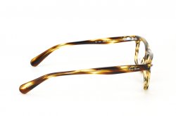  () Ray-Ban RB5301-5209
