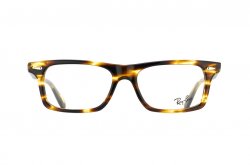  () Ray-Ban RB5301-5209
