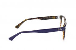  () Ray-Ban RB5308-5219