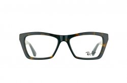 () Ray-Ban RB5316-2012