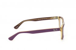 Eyewear (frame) Ray-Ban RB5316-5390