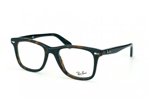  () Ray-Ban Wayfarer Legend RB5317-2012
