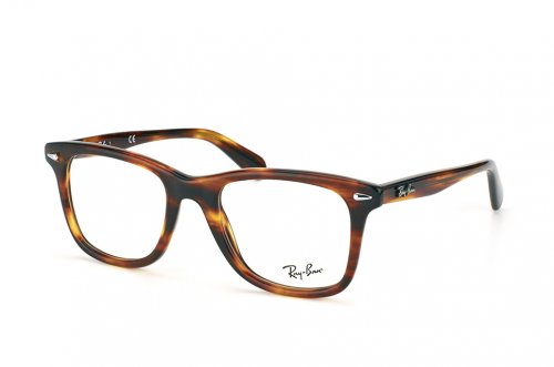  () Ray-Ban Wayfarer Legend RB5317-2144