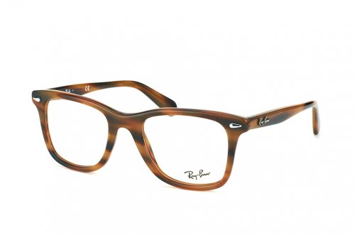  () Ray-Ban Wayfarer Legend RB5317-5384