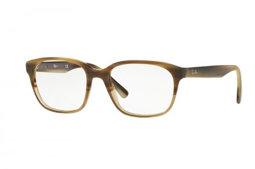  () Ray-Ban  RB5340-5542
