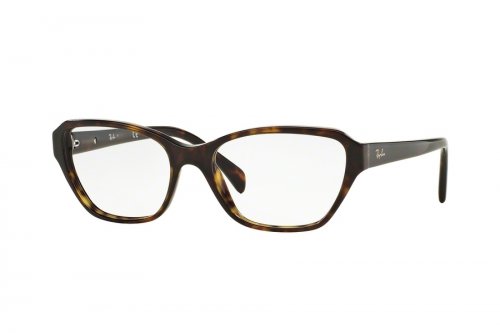  () Ray-Ban  RB5341-2012