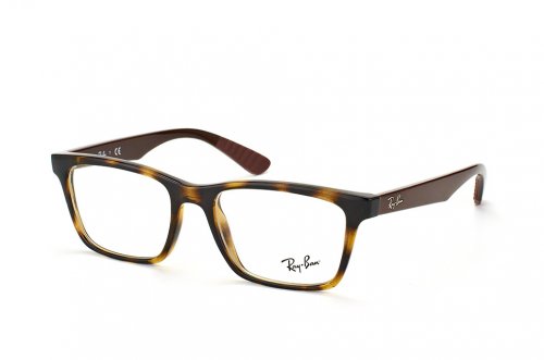  () Ray-Ban Active Lifestyle RB7025-5577