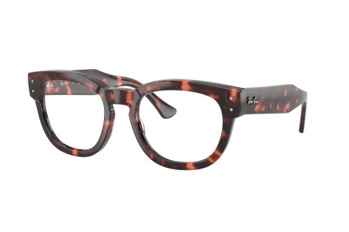Eyewear (frame) Ray-Ban  RX-0298V-8118
