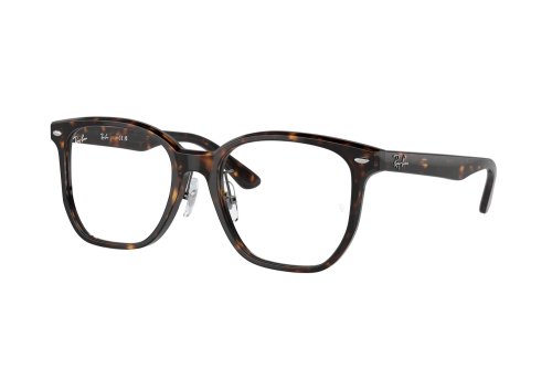 Eyewear (frame) Ray-Ban  RX-5425D-2012