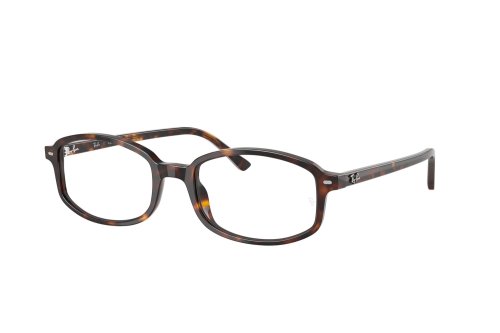 Eyewear (frame) Ray-Ban  RX-5432-2012
