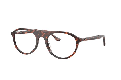 Eyewear (frame) Ray-Ban  RX-5441-8423