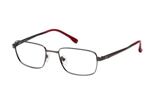 Eyewear (frame) Seiko Titanium T9026-C008