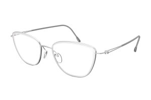 4555-1100  Silhouette