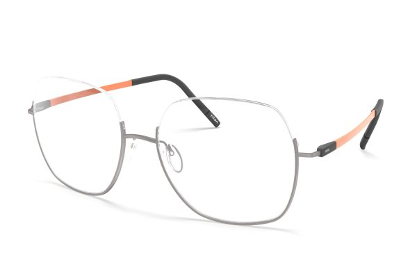 4566 6580 Silhouette Dynamic Dawn