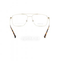 1192T 1 очки (оправа) Ruud van Dyke 24